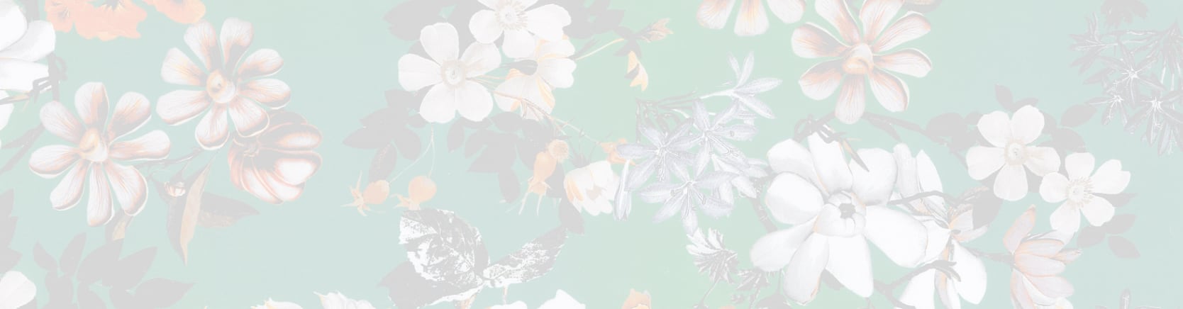 Botanical_Header_iPad.jpg_re02.jpg